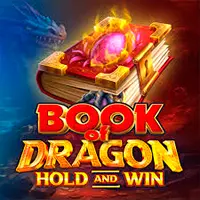Book Of Dragon Slot im Wincleo Casino